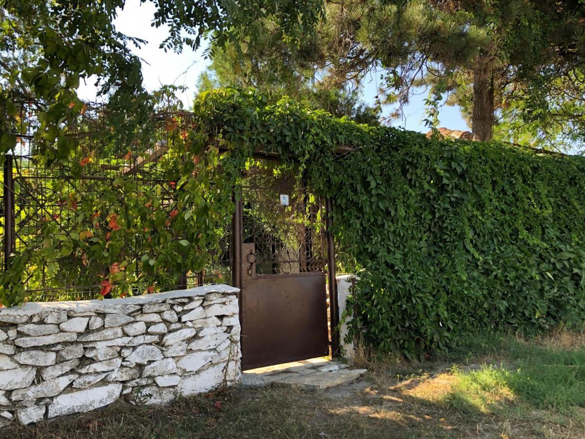 Grauri Si Smochini Hotel Vadu Exterior photo
